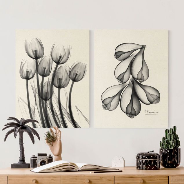 quadros preto e branco para decoração X-Ray - Tulips & Fig Shells