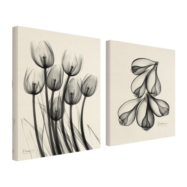 telas decorativas para paredes X-Ray - Tulips & Fig Shells