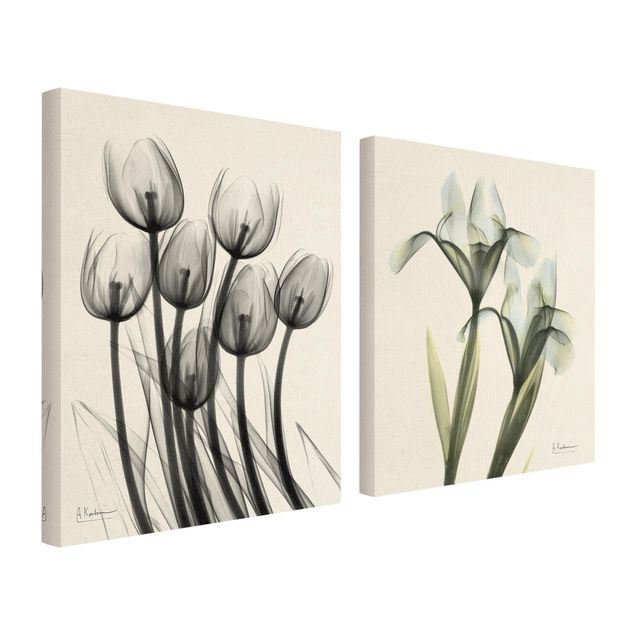 quadros em tela X-Ray - Tulips & Iris