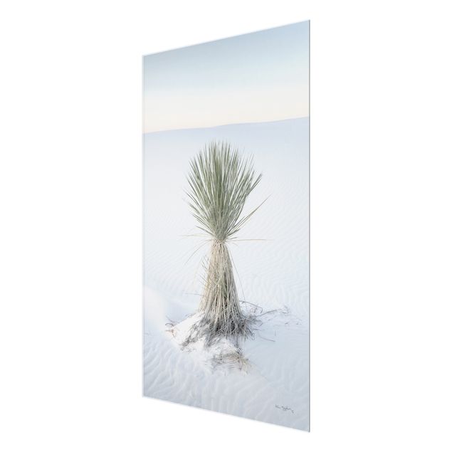 quadro azul Yucca palm in white sand