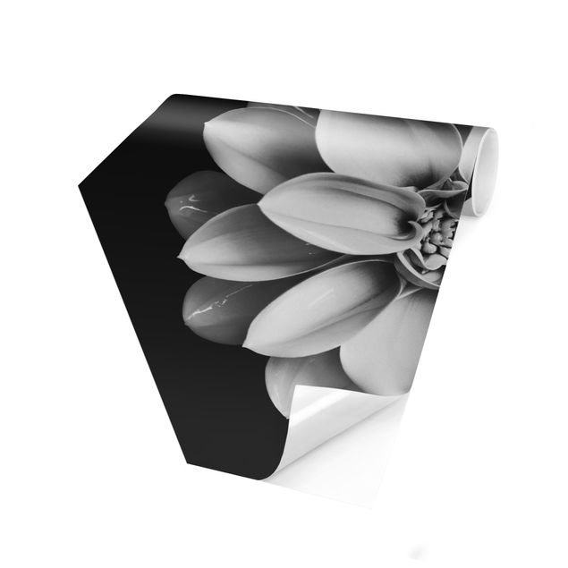 Papel de parede bege Delicate Dahlia In Black And White