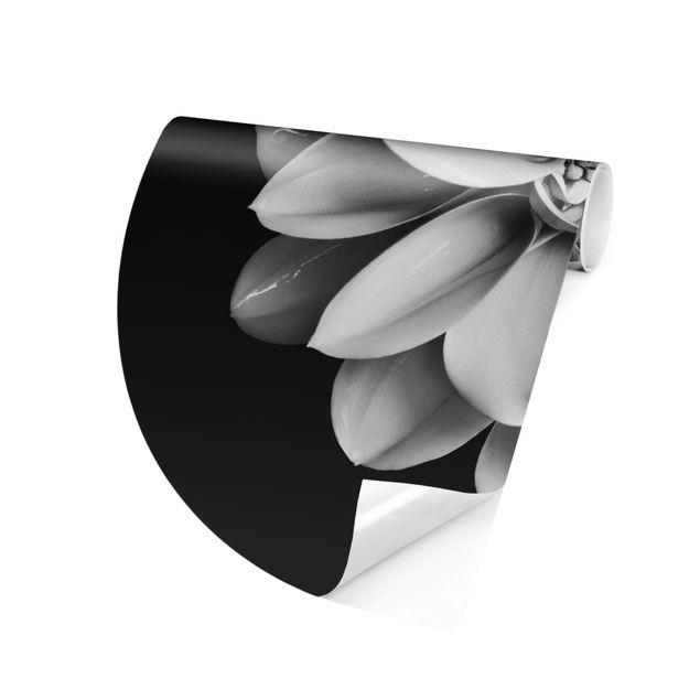 Papel de parede com flores Delicate Dahlia In Black And White
