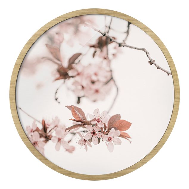 decoração quadros Delicate Cherry Blossoms On A Twig