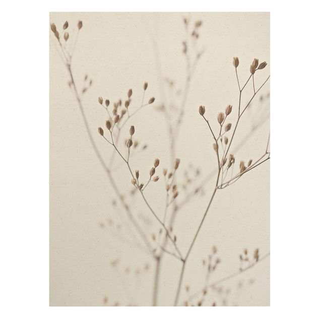 quadro com flores Delicate Buds On A Wildflower Stem