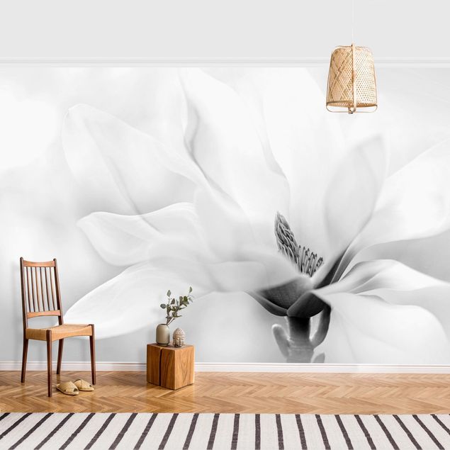 decoraçoes cozinha Delicate Magnolia Flowers Black and White