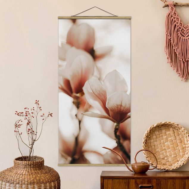 decoraçao para parede de cozinha Delicate Magnolia Flowers In An Interplay Of Light And Shadows