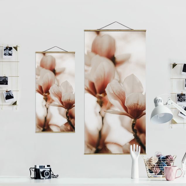 decoração quadros Delicate Magnolia Flowers In An Interplay Of Light And Shadows