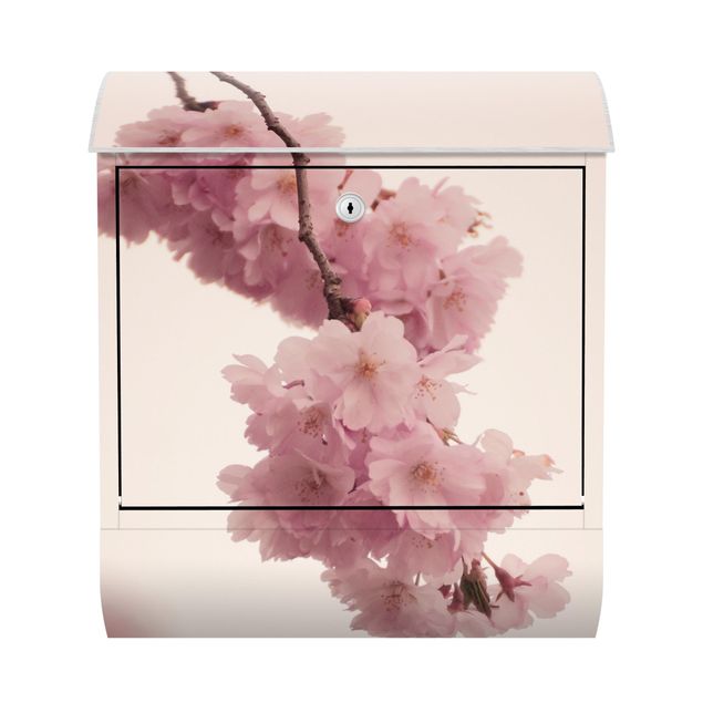 Caixas de correio em rosa Pale Pink Spring Flower With Bokeh