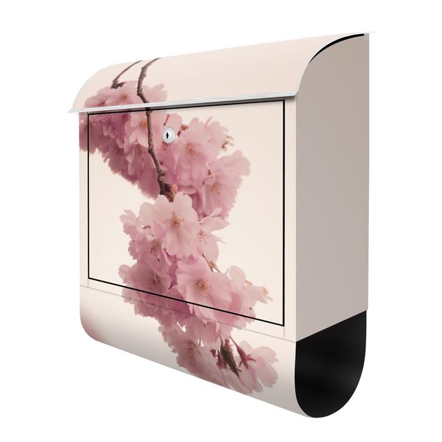 caixas de correio Pale Pink Spring Flower With Bokeh