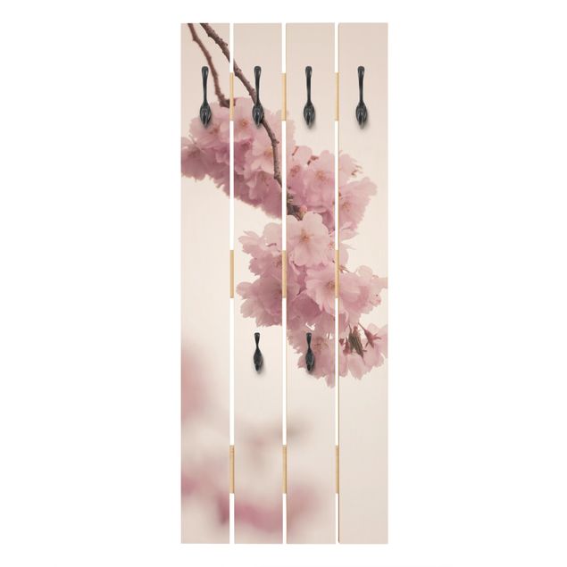 Cabides de parede em rosa Pale Pink Spring Flower With Bokeh