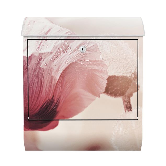 Caixas de correio em rosa Pale Pink Poppy Flower With Water Drops