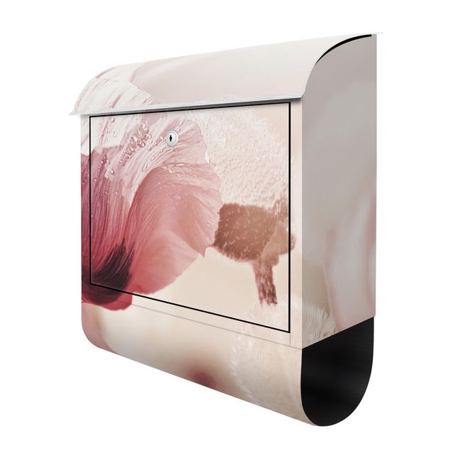 caixa de correio para muro Pale Pink Poppy Flower With Water Drops