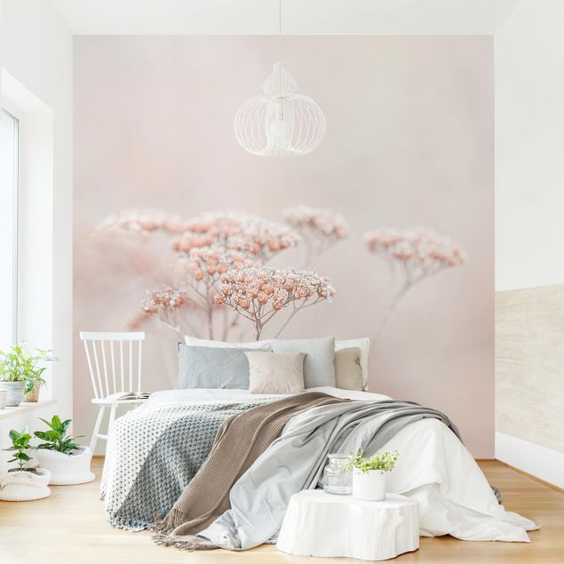 Papel de parede com flores Pale Pink Wild Flowers