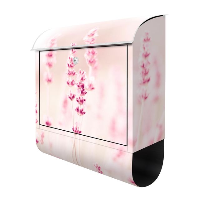 caixa de correio para muro Pale Pink Lavender