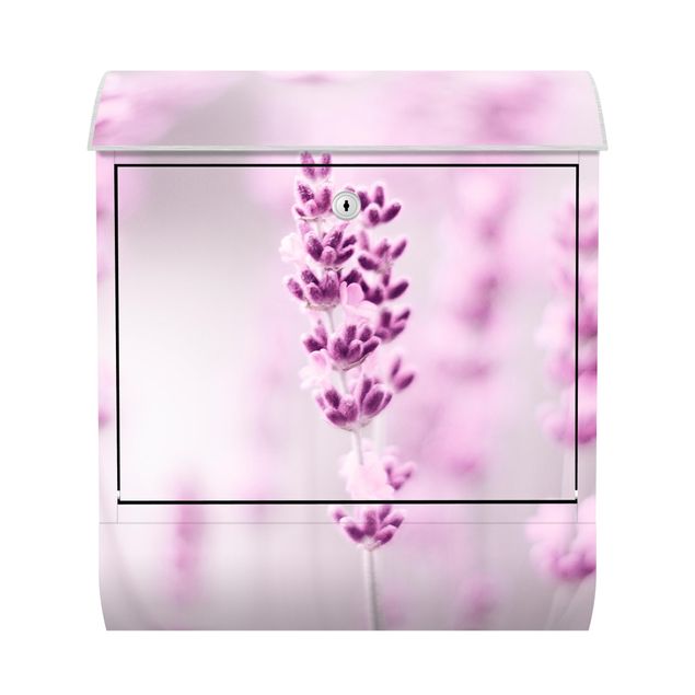 caixas de correio Pale Purple Lavender