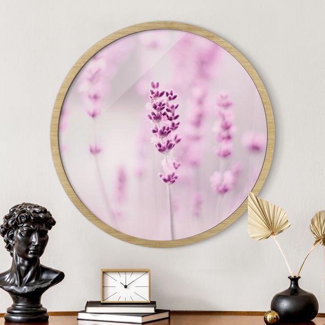 Quadros com moldura flores Pale Purple Lavender