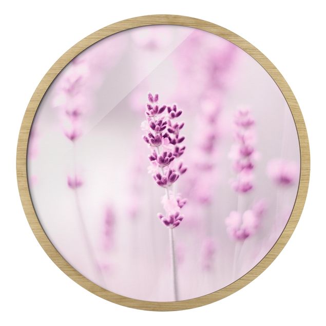 quadros para parede Pale Purple Lavender