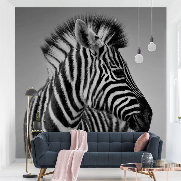 Papel de parede zebras Zebra Baby Portrait II