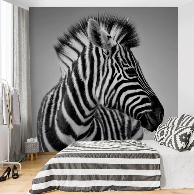 papel de parede moderno para sala Zebra Baby Portrait II