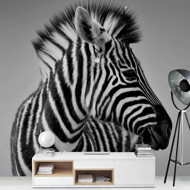 papel de parede branco e preto Zebra Baby Portrait II