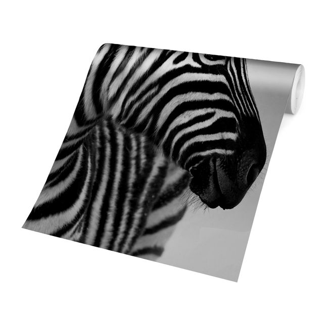 papéis de parede de animais Zebra Baby Portrait II