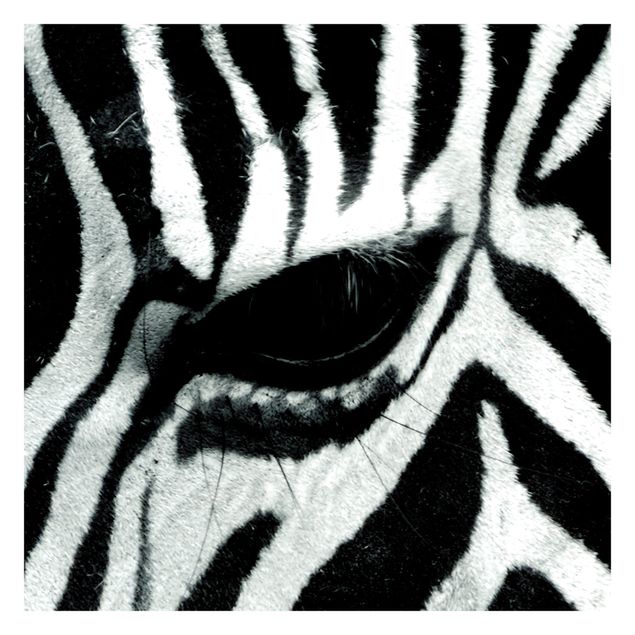 Papel de parede animais Zebra Crossing