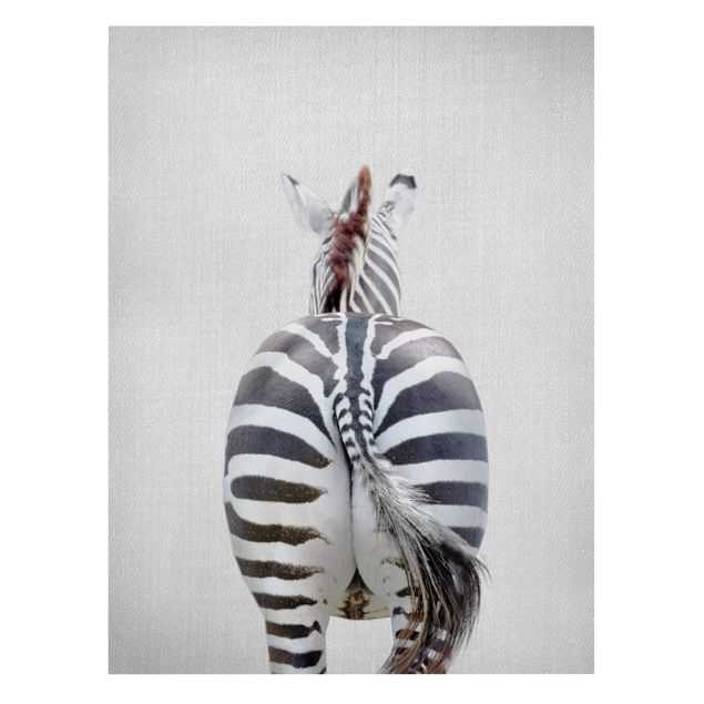 Telas decorativas animais Zebra From Behind
