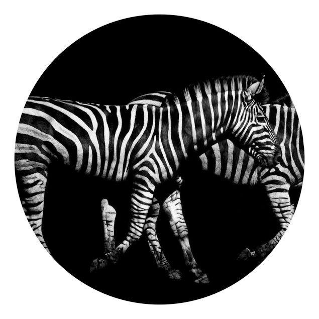 Papel de parede preto e branco Zebra In The Dark
