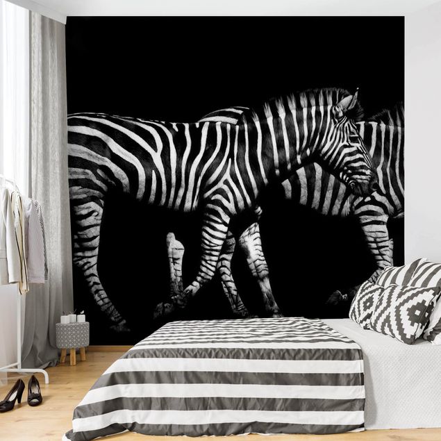 Papel de parede zebras Zebra In The Dark
