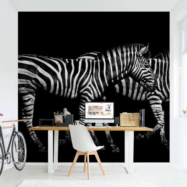 papel de parede para quarto de casal moderno Zebra In The Dark