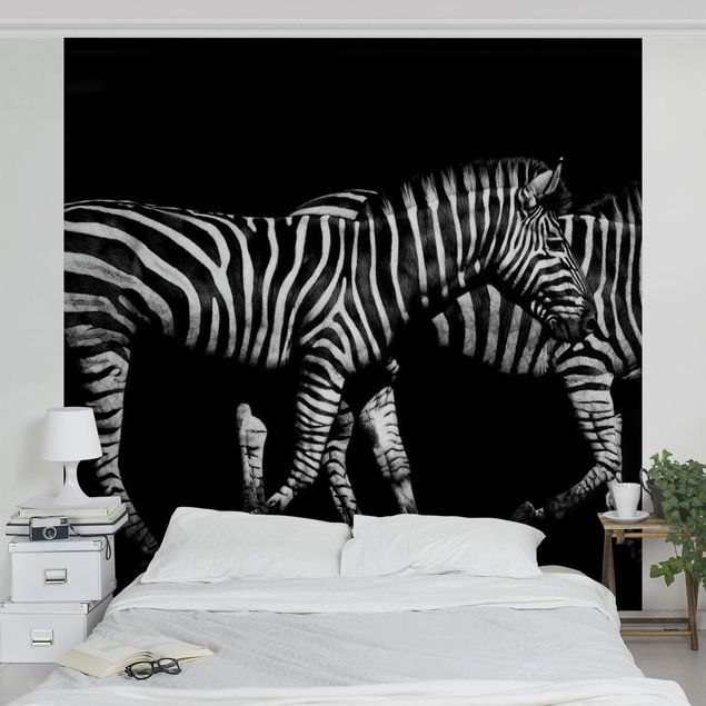 Papel de parede preto e branco Zebra In The Dark