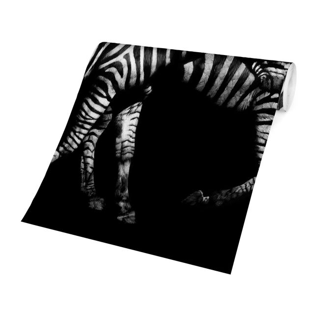 papel de parede com animais Zebra In The Dark