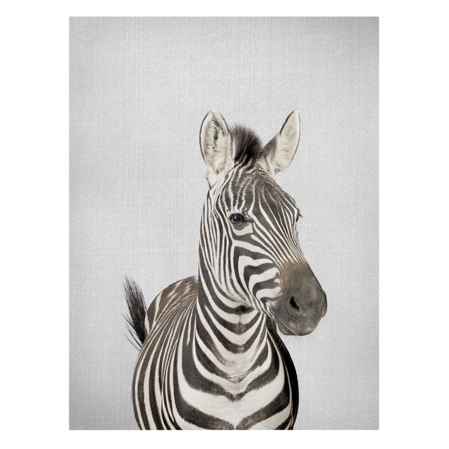 Telas decorativas animais Zebra Zilla