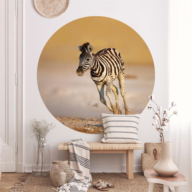 decoraçao para parede de cozinha Zebra Foal