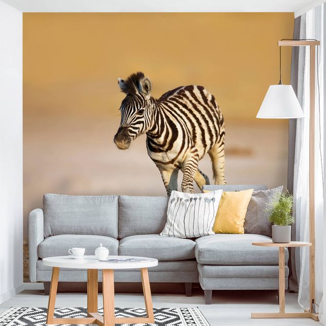 papel de parede moderno Zebra Foal