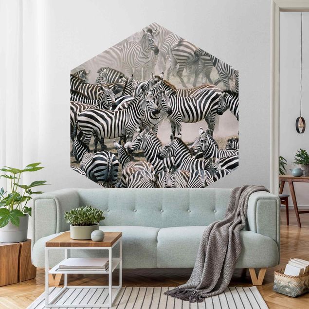 Papel de parede zebras Zebra Herd
