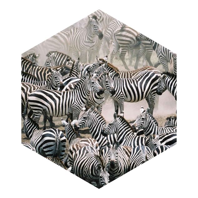 papel de parede com animais Zebra Herd