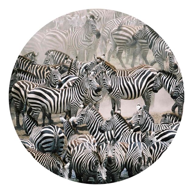 papel de parede moderno para sala Zebra Herd