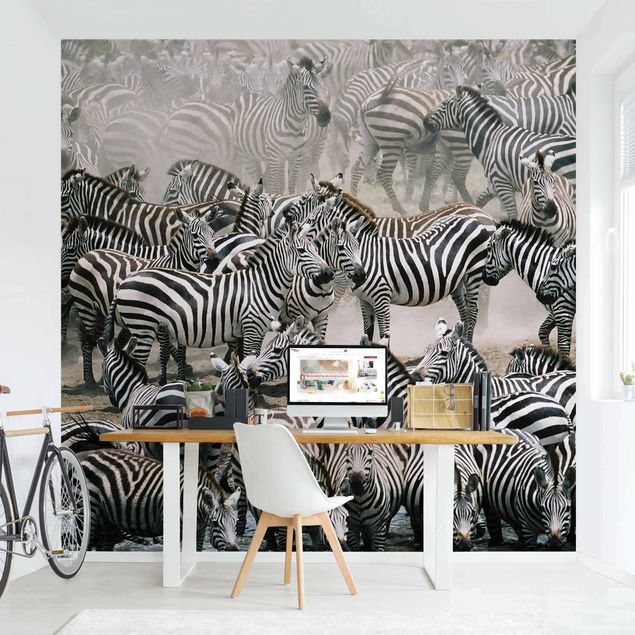 decoraçoes cozinha Zebra Herd