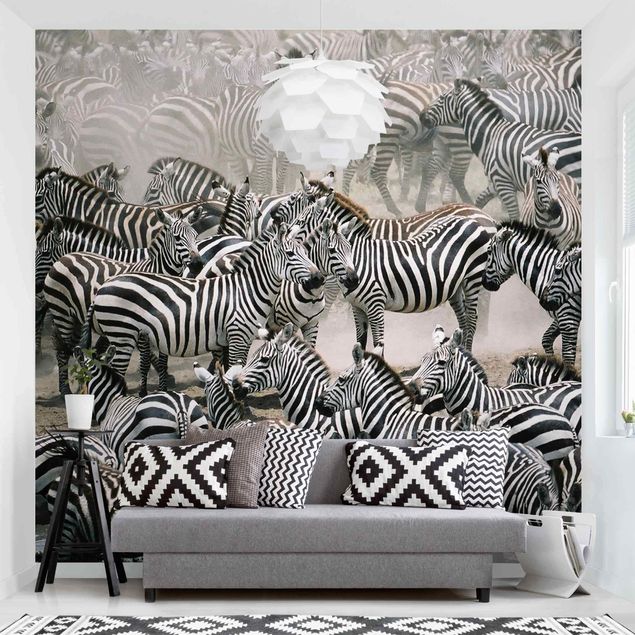Papel de parede zebras Zebra Herd