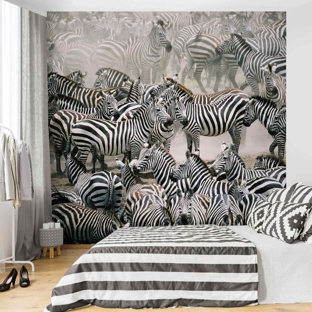 papel de parede moderno Zebra Herd
