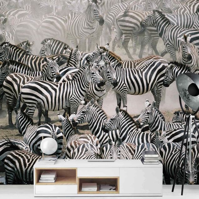 Papel de parede preto e branco Zebra Herd