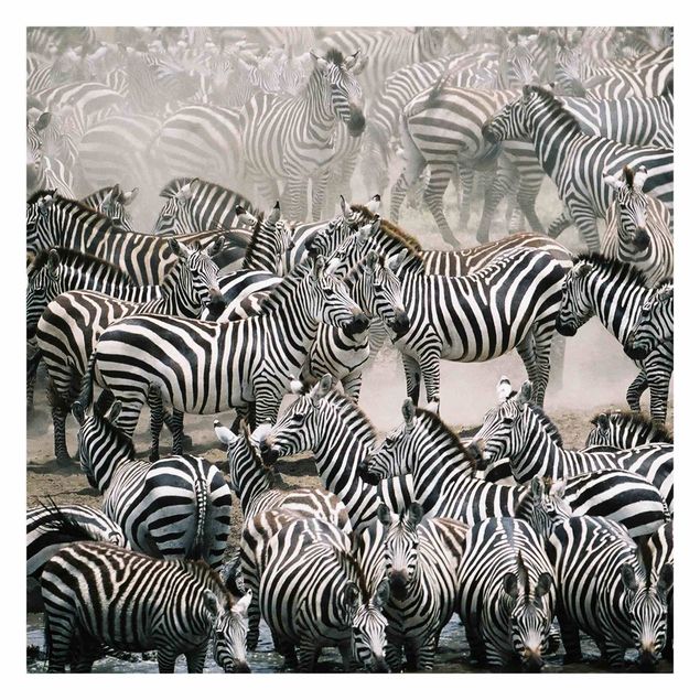 Mural de parede Zebra Herd