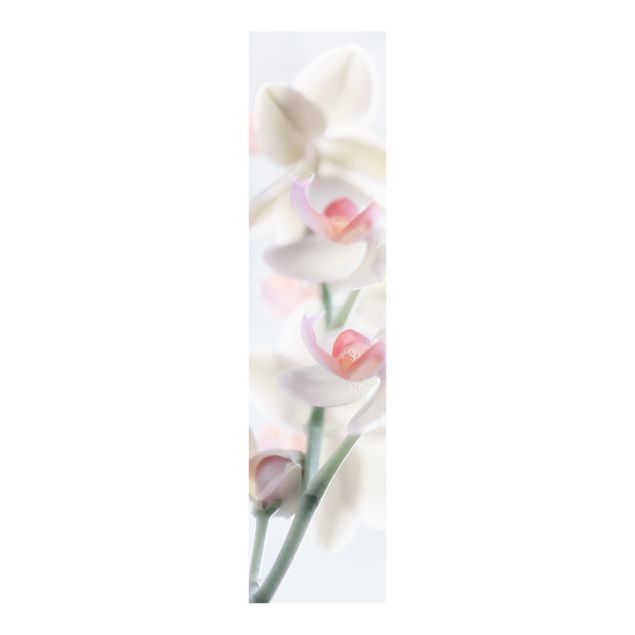 Painéis japoneses flores Delicate Orchid