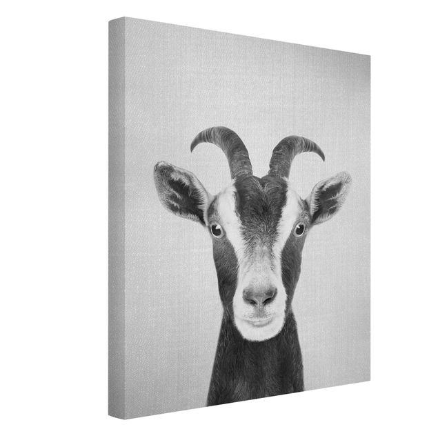 quadros modernos para quarto de casal Goat Zora Black And White