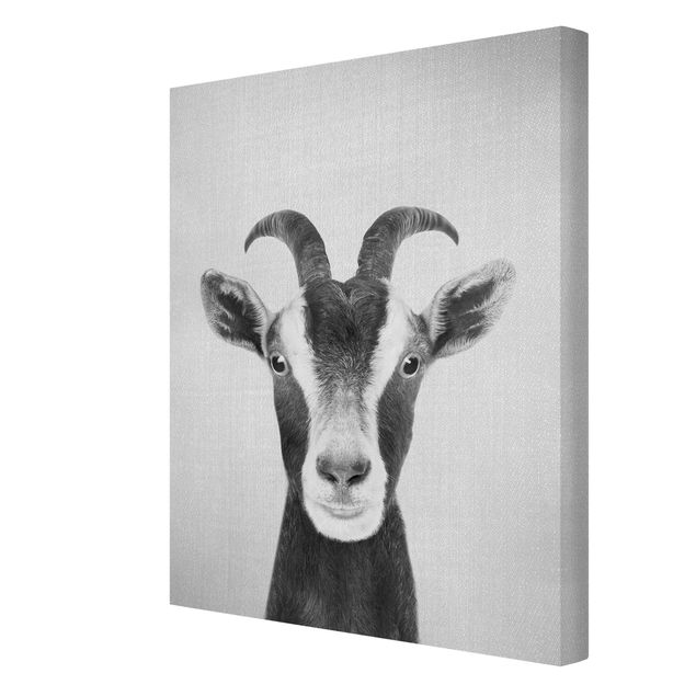 decoração quadros Goat Zora Black And White