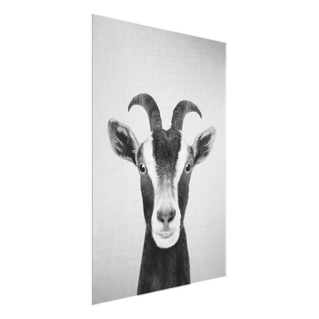 quadros decorativos para sala modernos Goat Zora Black And White