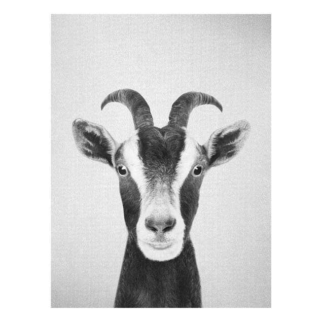 quadros em preto e branco Goat Zora Black And White