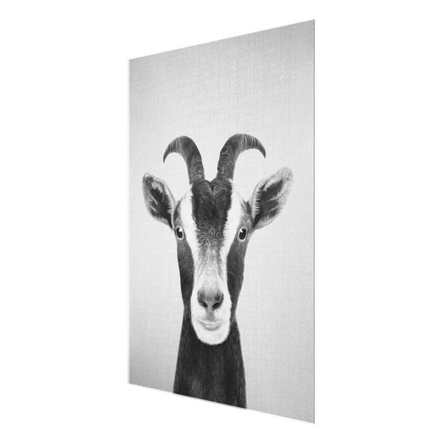 quadros para parede Goat Zora Black And White
