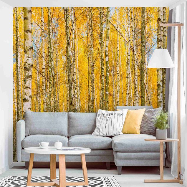 decoraçao para parede de cozinha Between Yellow Birch Trees